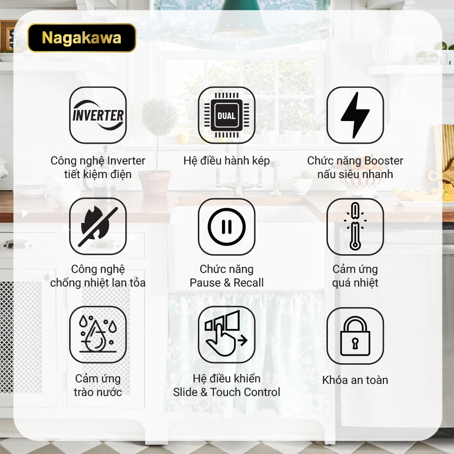 nag1213info12