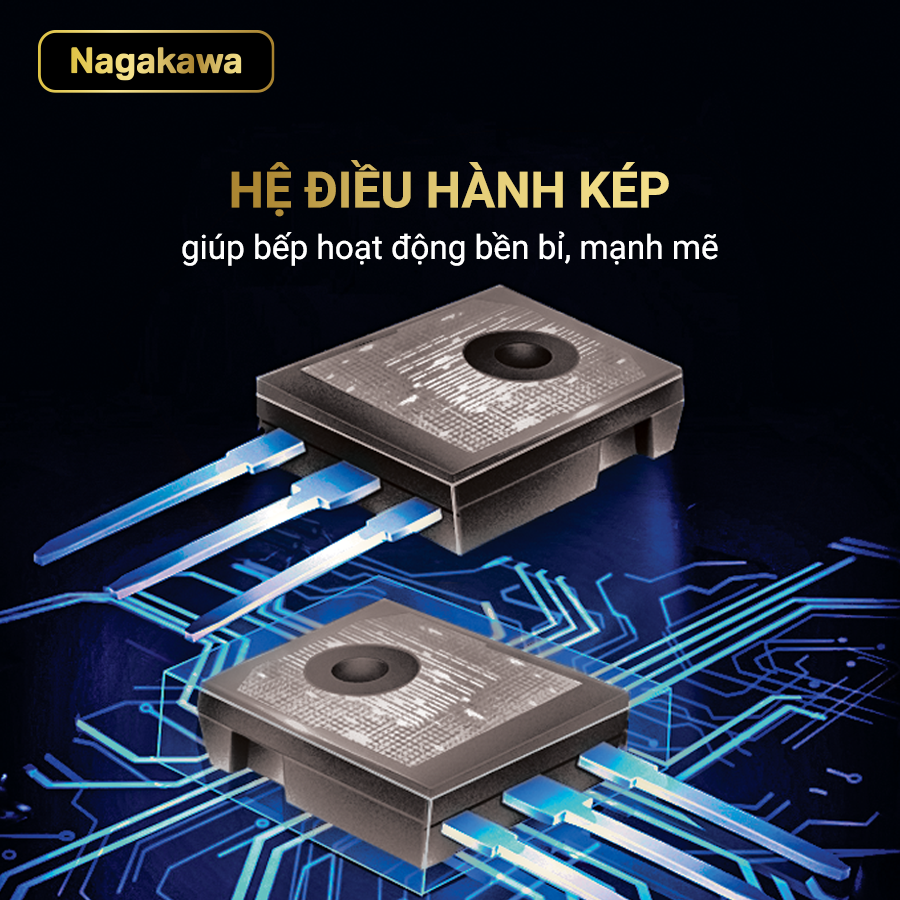 nag1213info4