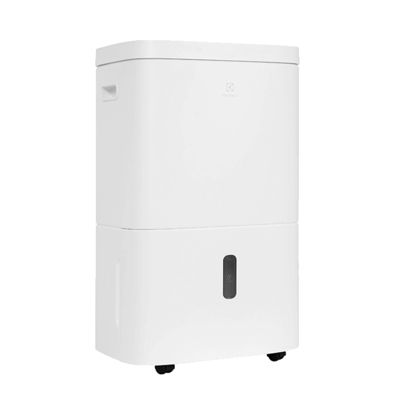 Máy Hút Ẩm Lọc Không Khí Electrolux EDH 10TRBW